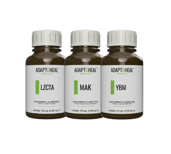 KIT 3