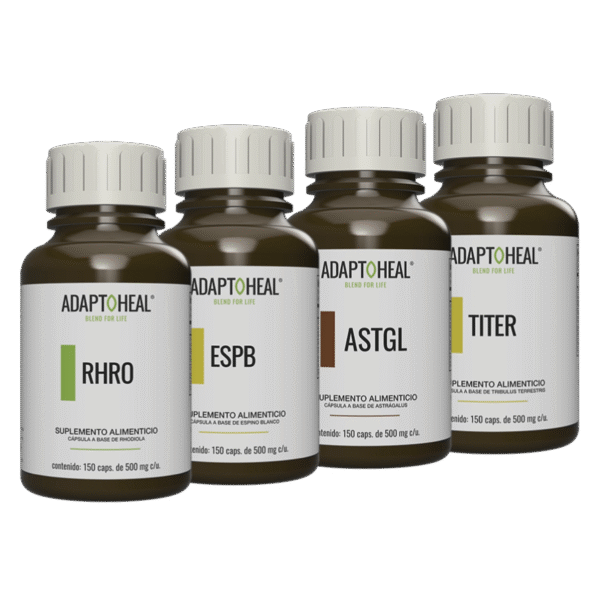 KIT 6
