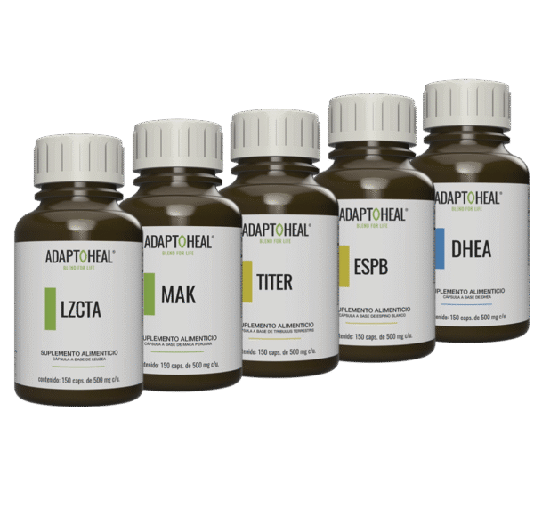 KIT 8