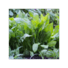 Diente de León 150 cápsulas | 500mg Adaptoheal® - Imagen 4