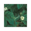Golden Seal 150 cápsulas | 500mg Adaptoheal® - Imagen 4