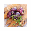 Maca 150 cápsulas | 500mg Adaptoheal® - Imagen 4