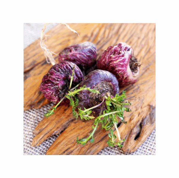 Maca 150 cápsulas | 500mg Adaptoheal® - Imagen 4