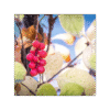 Schizandra 150 cápsulas | 500mg Adaptoheal® - Imagen 4
